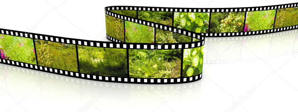 3d blank film filled by pictures of nature