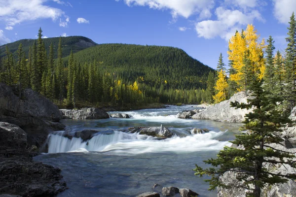 Rapids in fall — Stock Photo, Image