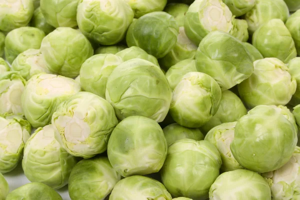 Brussels sprouts, — Stock Photo, Image