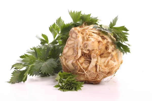 Celery root — Stock Photo, Image
