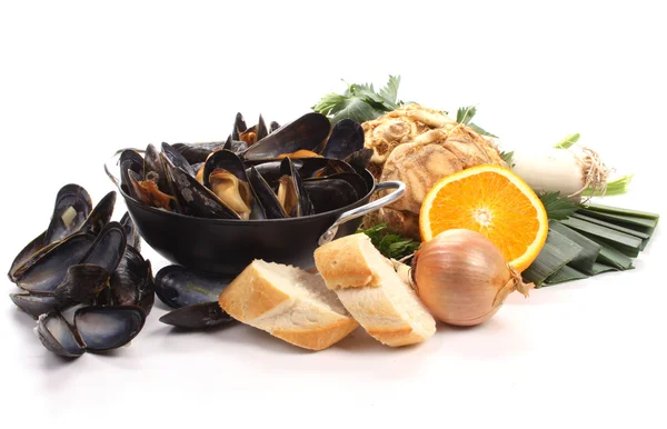 stock image Blue mussels