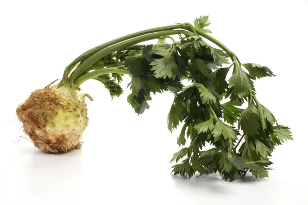 Fresh Turnip Rooted Celery White Background — Stock Photo, Image