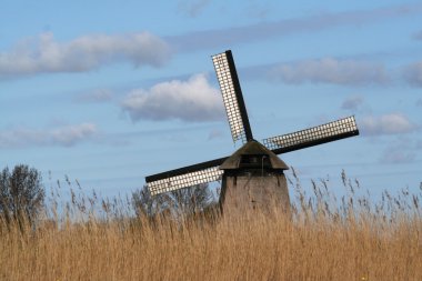 schermerhorn Holland village yakınındaki geleneksel eski yeldeğirmenleri