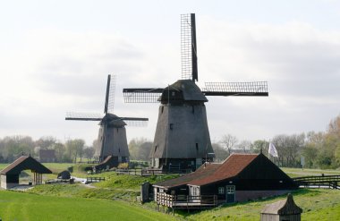 schermerhorn Holland village yakınındaki geleneksel eski yeldeğirmenleri