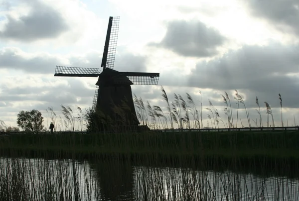 Mulini a vento olandesi — Foto Stock