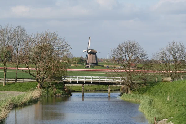 Holländska väderkvarnar — Stockfoto