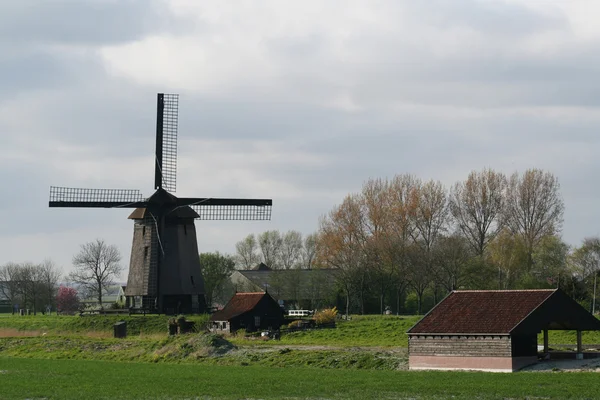 Mulini a vento olandesi — Foto Stock