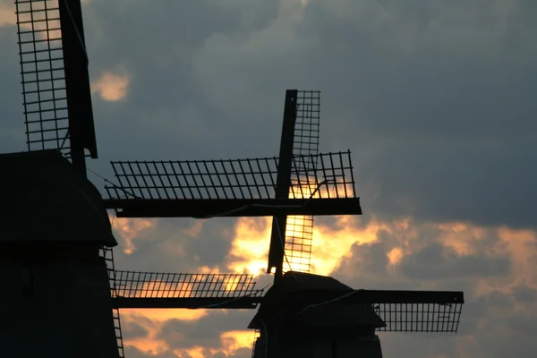 Голландська вітряні млини — стокове фото