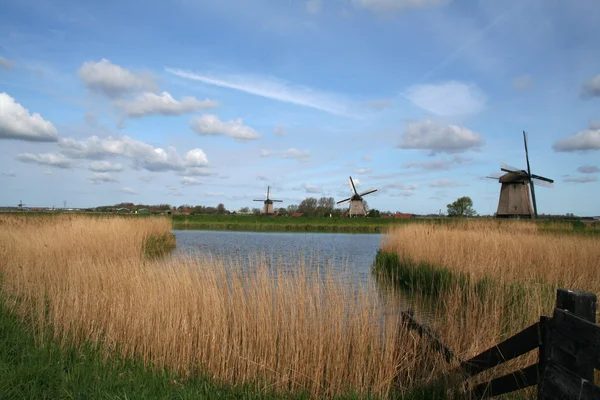 Traditionelle Alte Windmühlen Der Nähe Des Dorfes Schermerhorn Holland — Stockfoto
