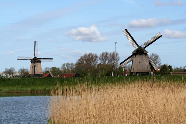 Голландська вітряні млини — стокове фото
