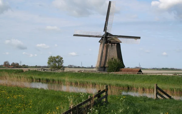 Niederländische Windmühlen — Stockfoto