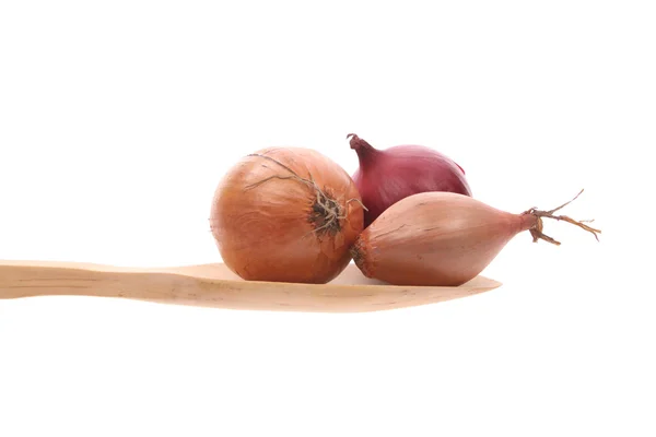 Onions on a wooden spoon isolated on a white background — Stock Photo, Image