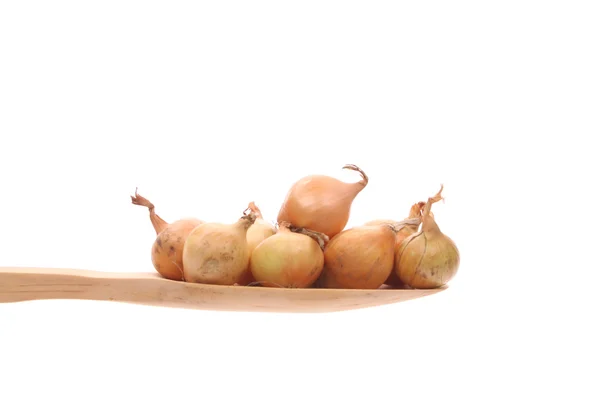 Zwiebeln Einfach Auf Einem Holzlöffel Auf Weißem Hintergrund Angeboten — Stockfoto