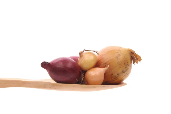 Zwiebeln auf einem Holzlöffel isoliert auf weißem Hintergrund — Stockfoto
