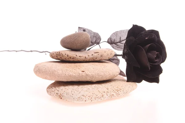 Zwarte rose op een stapel stenen — Stockfoto