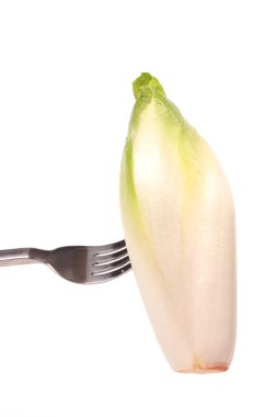 Chicory on a fork clipart