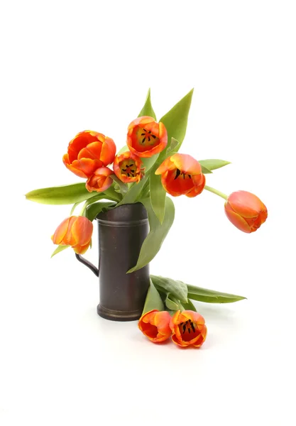 Tulipanes rojos y amarillos — Foto de Stock