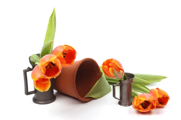Červené a žluté tulipány — Stock fotografie