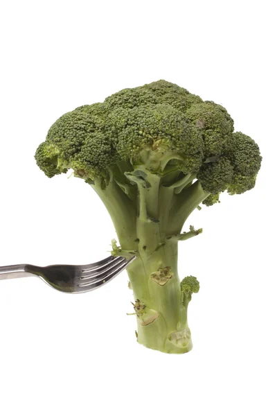 Broccoli on a fork — Stock Photo, Image
