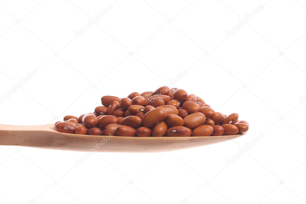 Brown beans on a wooden spoon