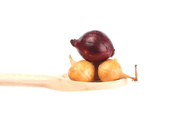 Zwiebeln auf einem Löffel — Stockfoto