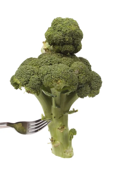 Brokoli pada garpu — Stok Foto