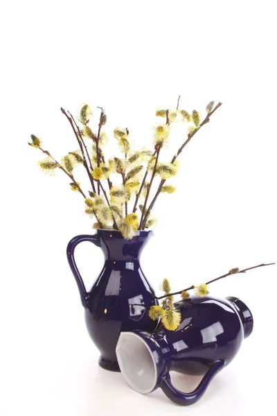 花瓶のヤナギ — ストック写真