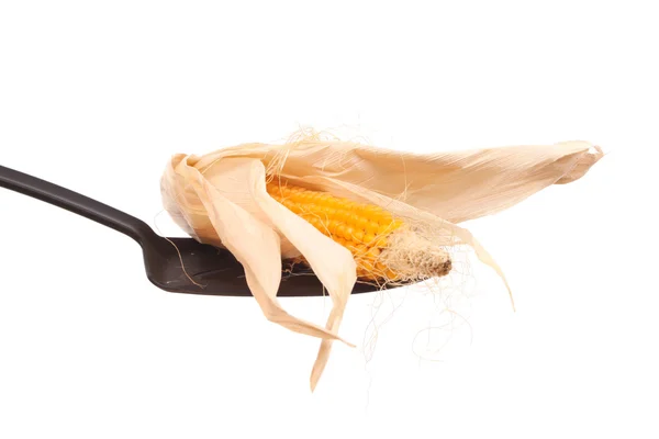 Maize on a spoon — Stock Photo, Image