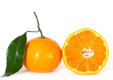 Tangerine over white background