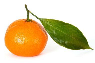 Tangerine over white background