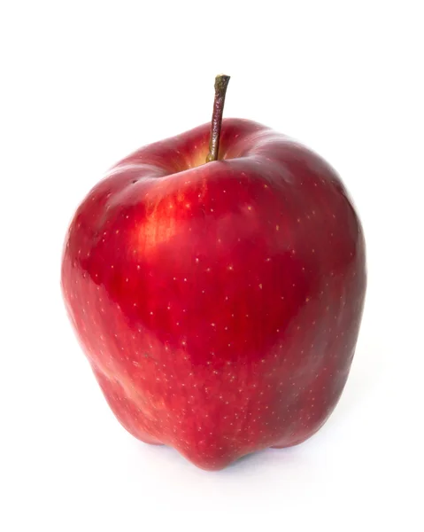 Κόκκινο Φρέσκο Μήλο — Φωτογραφία Αρχείου