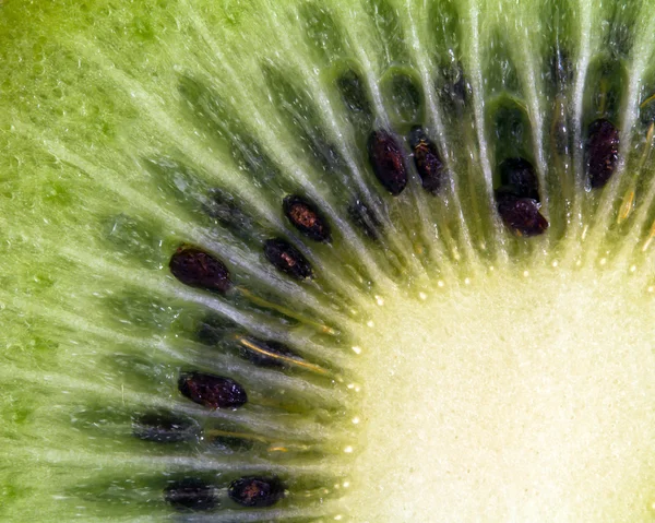Plasterek Kiwi — Zdjęcie stockowe