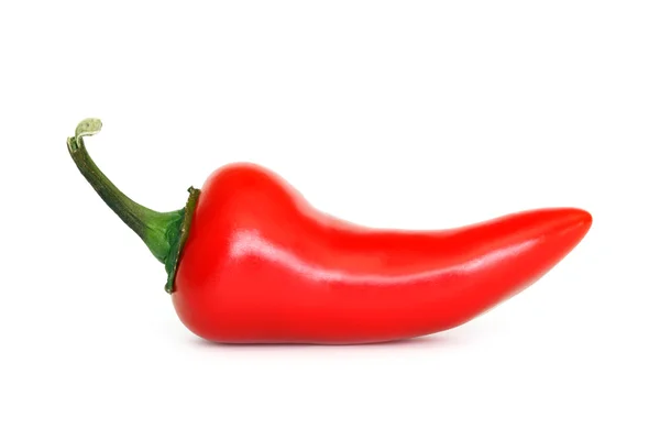 Κόκκινο πιπέρι τσίλι — Φωτογραφία Αρχείου