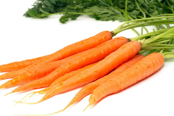 Свежая Органическая Морковь — стоковое фото