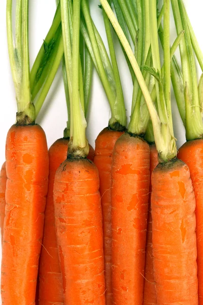 Свіжа Органічна Морква Білому Тлі — стокове фото
