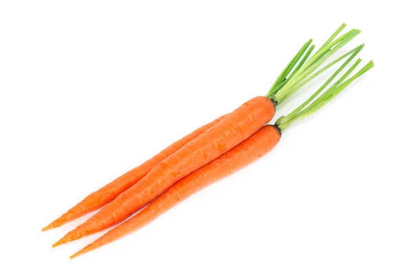 Fresh Organic Carrots White Background — Stock Photo, Image