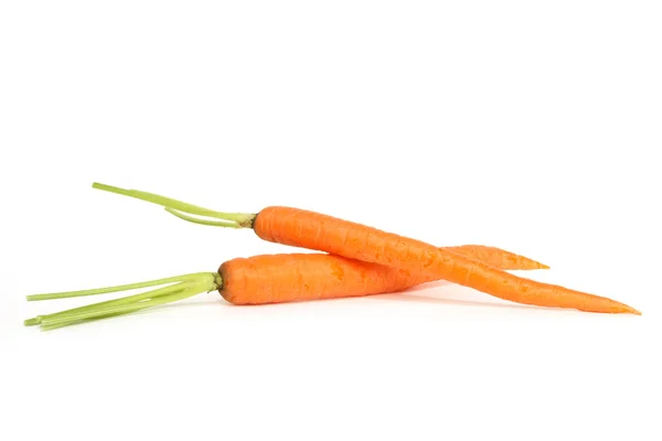 在白色背景的两个新鲜胡萝卜 — 图库照片