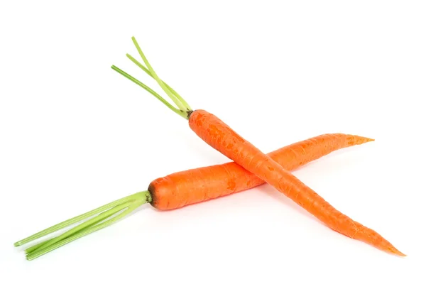 Two Fresh Carrots White Background — Stock Photo, Image