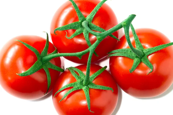Beyaz içinde güzel parlak domates — Stok fotoğraf