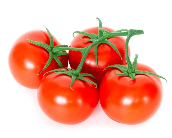 Tomater Över Vit Bakgrund — Stockfoto