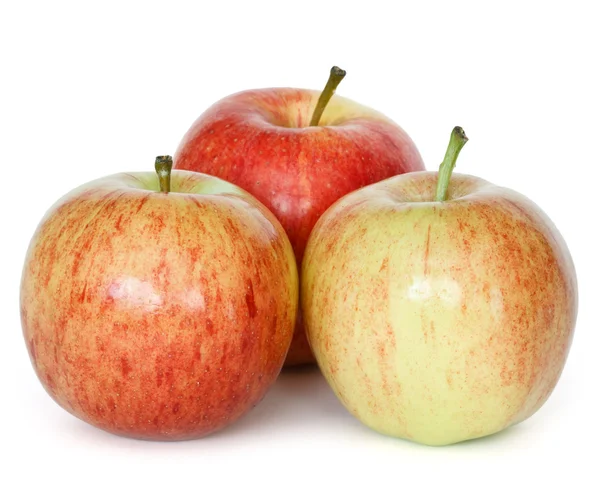 Gala Äpfel Auf Weißem Hintergrund — Stockfoto