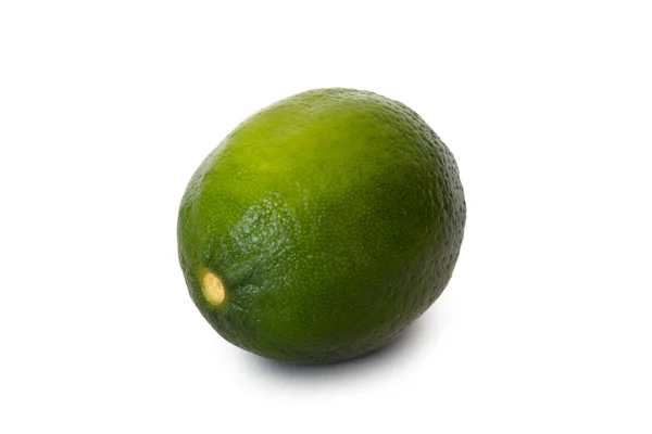 Limão único — Fotografia de Stock