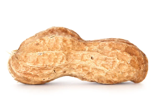 stock image Peanut