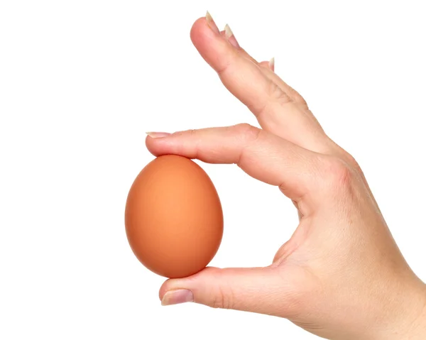 Hand och ägg — Stockfoto