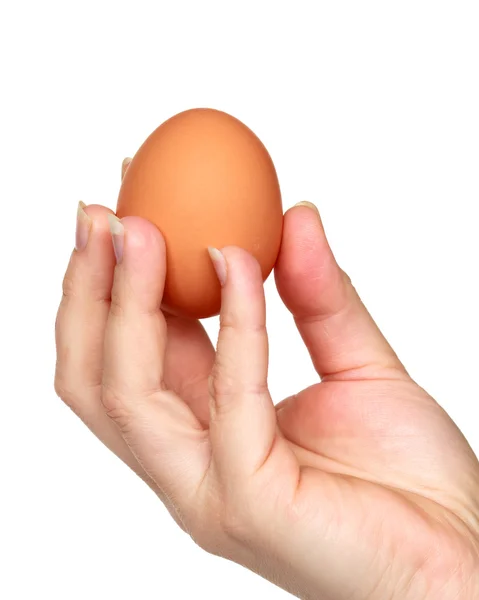 stock image Hand and egg