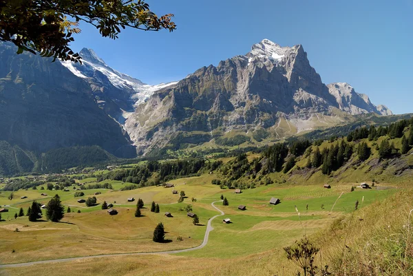 Alpine valley — Stock Photo, Image