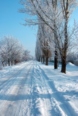 köy yolunda, karla kaplı. Frost