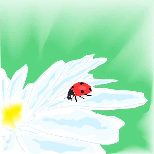 Watercolor Illustration Depicting Ladybug Daisy Vector Illustration Eps10 — Stock Vector
