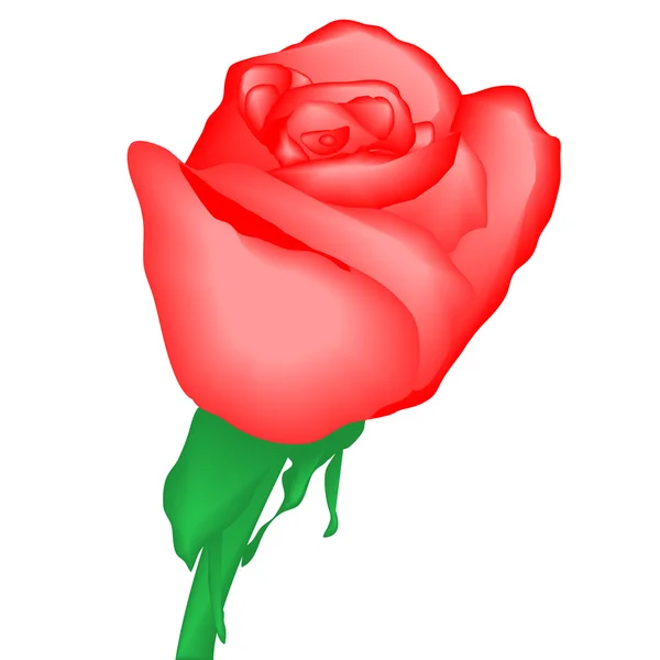 Rosa vermelha, ilustração vetorial, eps10 —  Vetores de Stock