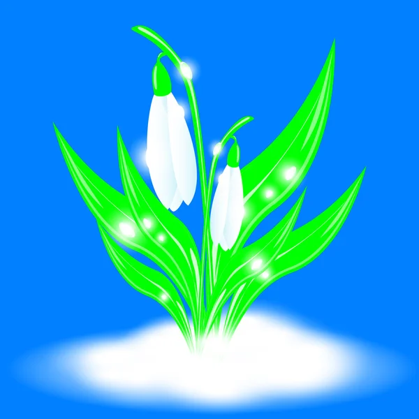 Illustration Depicting Snowdrops Snow Vector Illustration Eps10 — Stock Vector